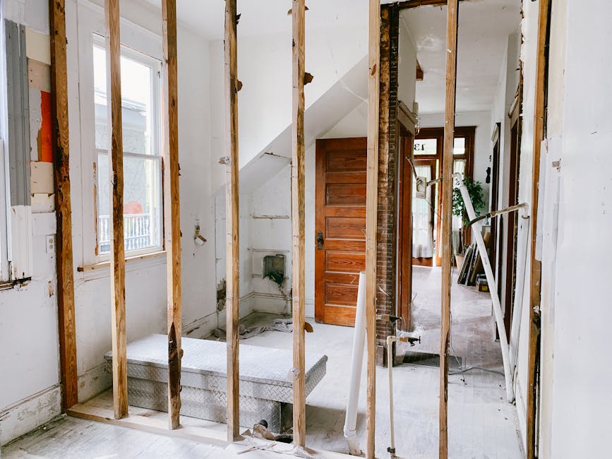 gutted house interior renovation framing